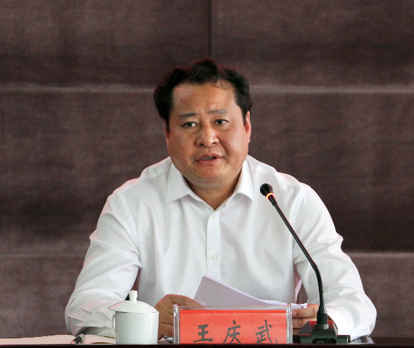 王庆武讲话.jpg 王庆武讲话.jpg