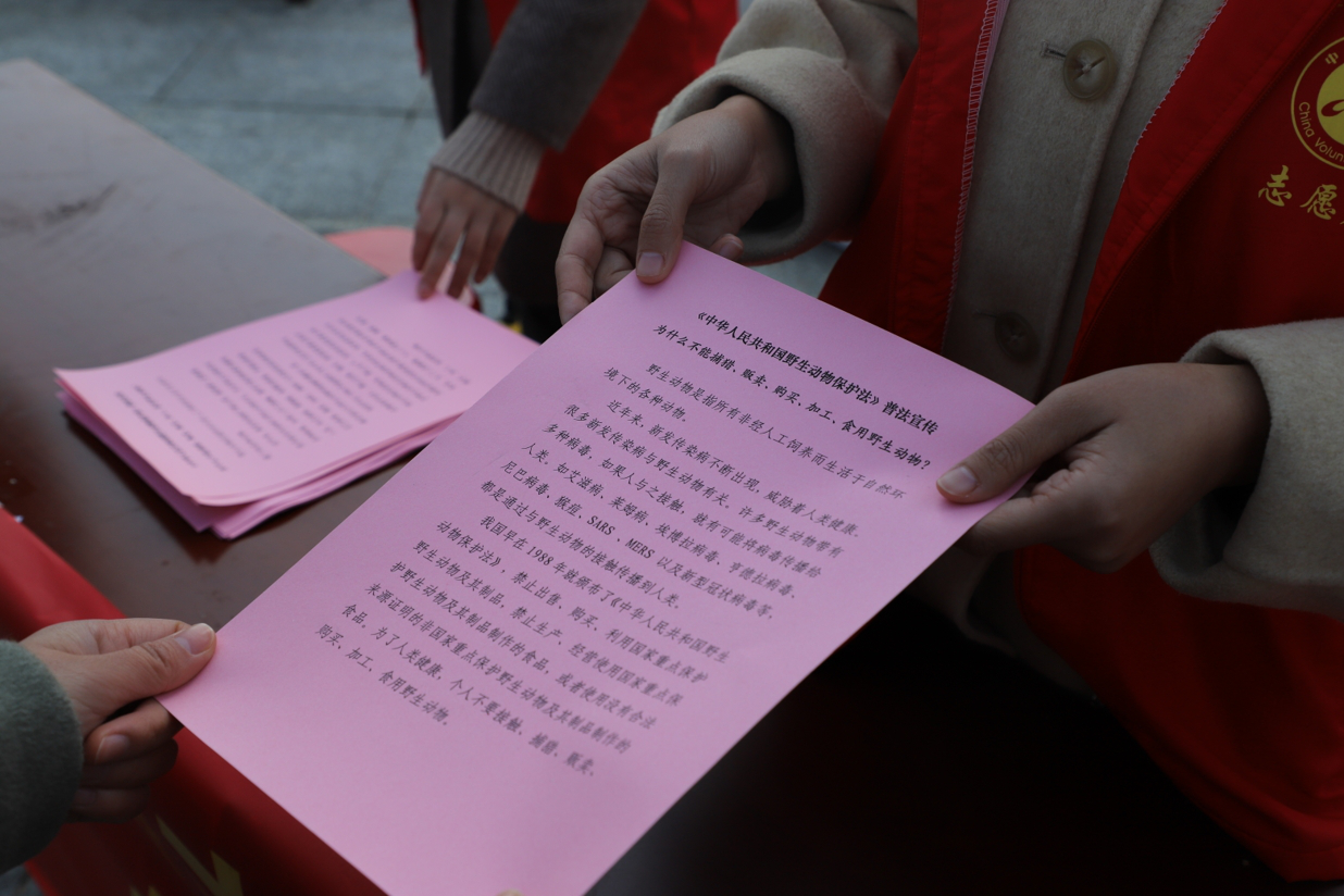 图片 27.png 图片 27.png