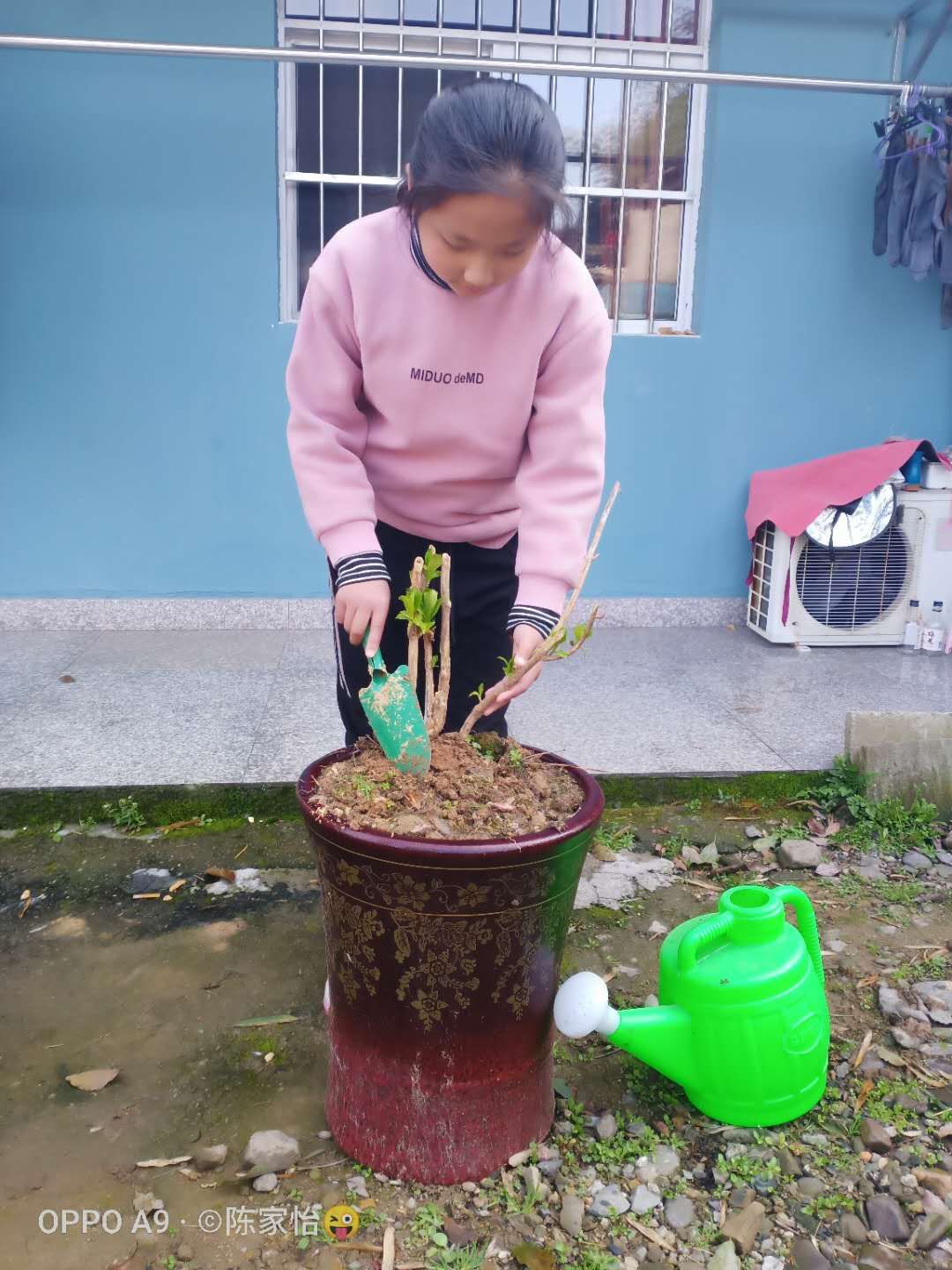 微信图片_20200311110246.jpg 微信图片_20200311110246.jpg