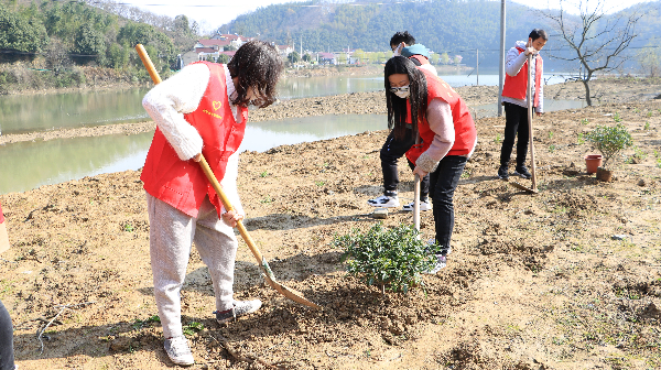 植树2.JPG 植树2.JPG