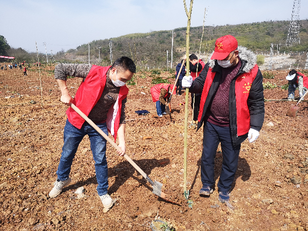 2020年3月11日市场监管局开展义务植树活动-2.jpg