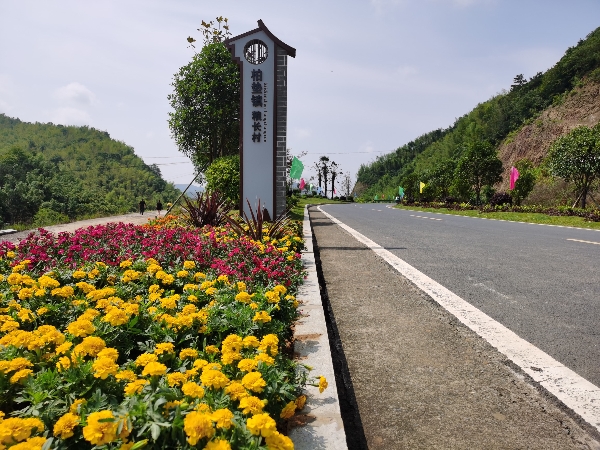微信图片_20200707084514_看图王.jpg